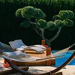 Ulivo -