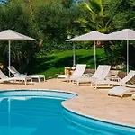 Ulivo - Villa Putignano