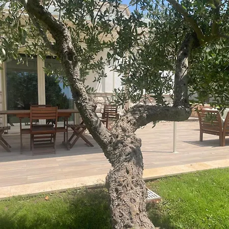 Villa Ulivo - Putignano